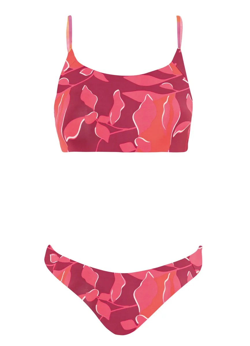 Maaji Sunrise Dye Dinna Sporty Bralette Bikini Top Maaji